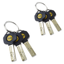 Dual Finish Pair Yale Platinum Keyed Alike Euro Cylinder UPVC Door Lock Anti Snap 3 Star